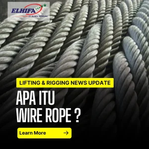Wire Rope Sling DRI